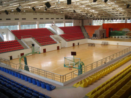 實(shí)木運(yùn)動地板,實(shí)木運(yùn)動地板品質(zhì)決定價(jià)格 實(shí)木運(yùn)動地板,實(shí)木運(yùn)動地板品質(zhì)決定價(jià)格